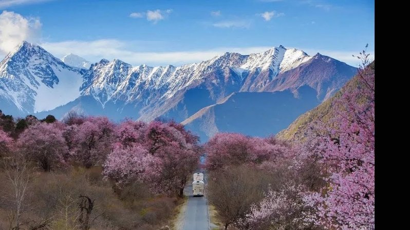 白条额度怎么使用