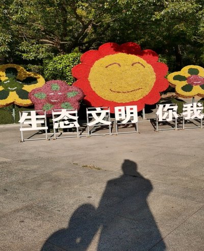 正规平台上的资金套现现象探析