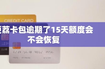 便荔卡包额度可以提出来吗?便荔卡包额度提现问题详解