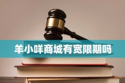 羊小咩取消订单还要还款