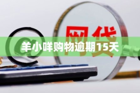 羊小咩取消订单还要还款