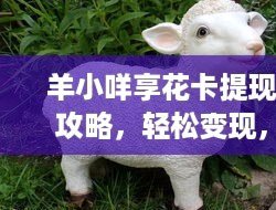 羊小咩享花卡可以提现吗?