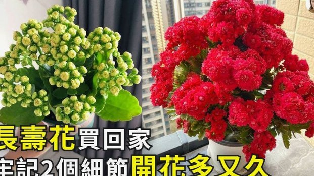携程拿去花资金使用合规指南
