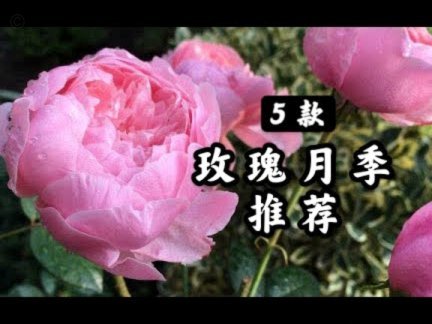 携程拿去花怎样套现 平台的钱