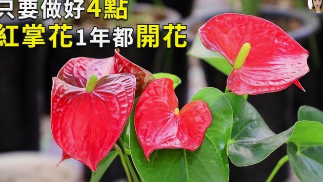 携程拿去花怎样套现 平台的钱
