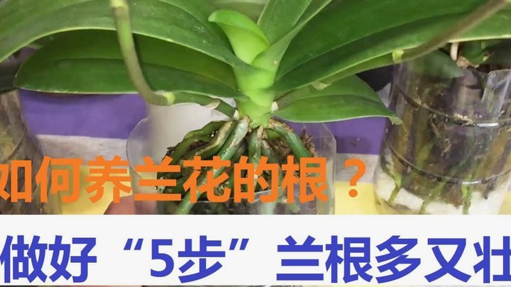 如何合法高效地使用花呗功能避免风险