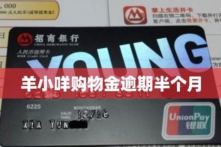 与羊小咩协商还款的实用方法