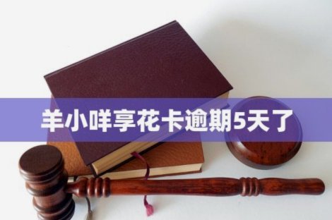 羊小享花卡：年轻人信贷新选择