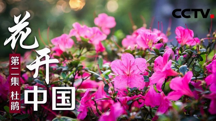 花呗套线后多久能解封？