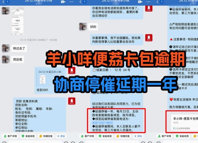 羊小咩便荔卡包功能与使用技巧详解