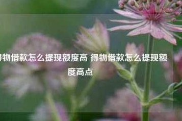 得物借款能提现吗