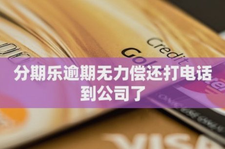 分期乐逾期还款应对策略