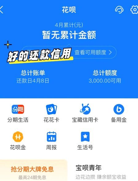 聪明用花呗：优化额度和账单管理技巧