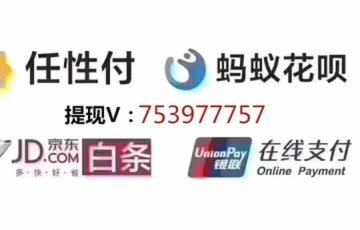 额度游戏：羊小咩的消费智慧
