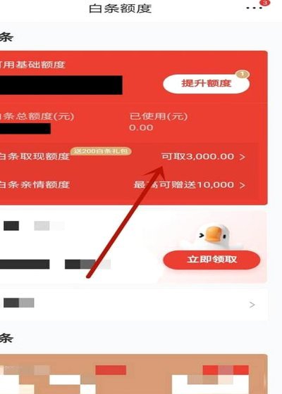 白条付费额度怎么套 取的