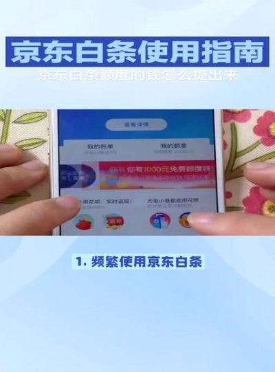 白条付费额度怎么套 取的