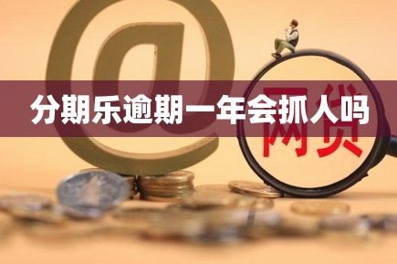 分期乐：正规背后，风险与真相