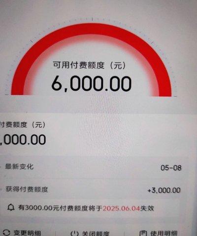 白条取出额度商家 现金还在吗