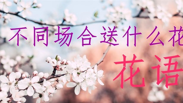 花呗商家提现手续费怎么算