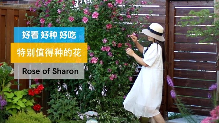 做花呗提现的靠什么挣钱