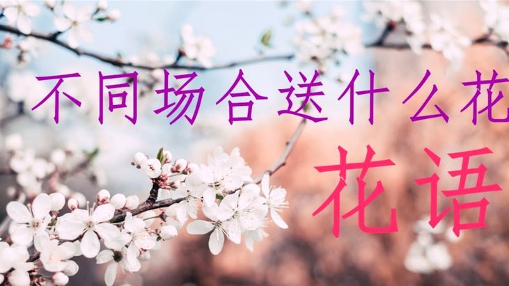 如何安全关闭花呗秒套平台