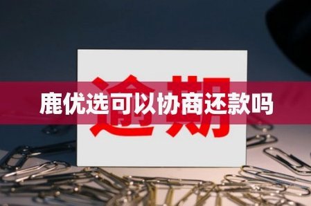 鹿优选备用金多久到账受哪些因素影响？