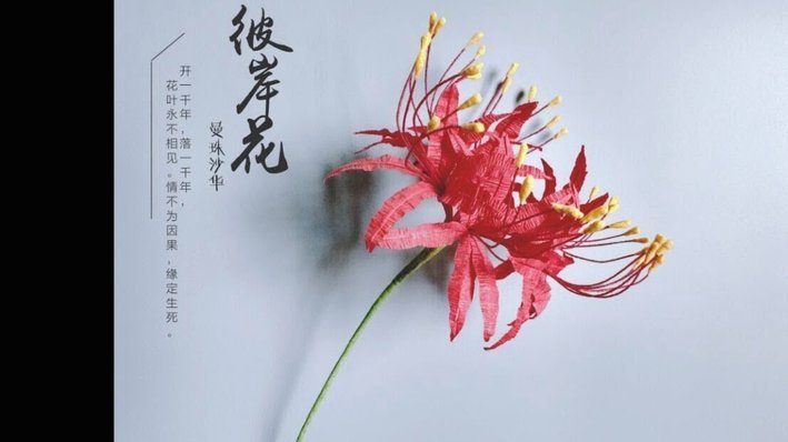 拿去花真的能提现吗？
