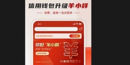 羊小咩申请退款