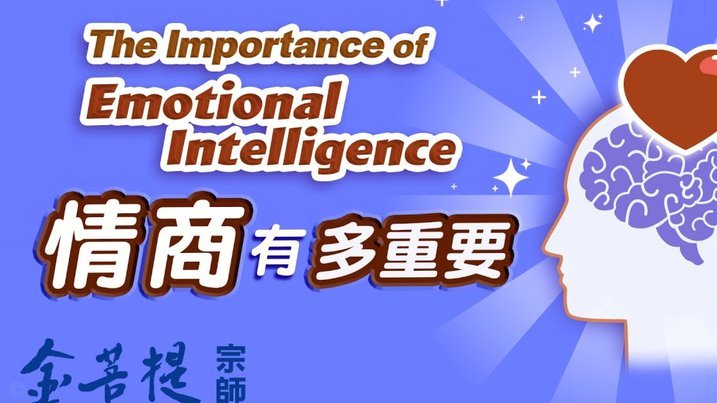 多多提是什么