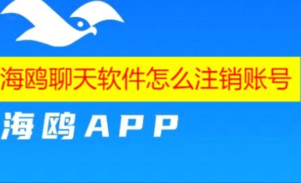 轻松注册海鸥花呗，这些步骤你必须知道