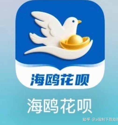 海鸥花呗平台注册地址在哪里