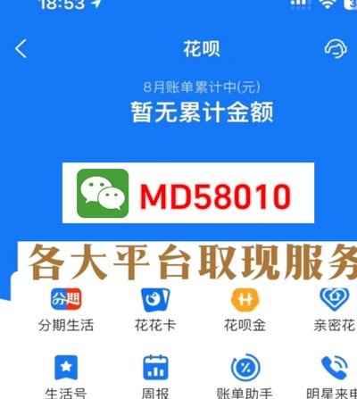 羊小咩享花卡怎么提前还款