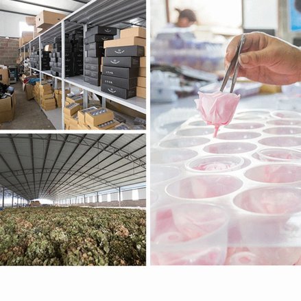 花呗取现商家策略解析