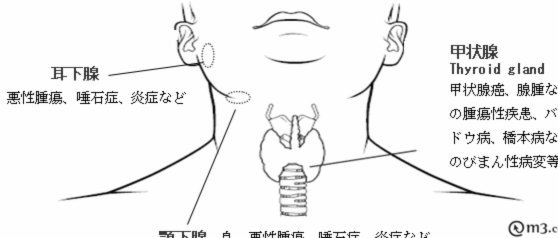 分期乐订单取消退款多久到账