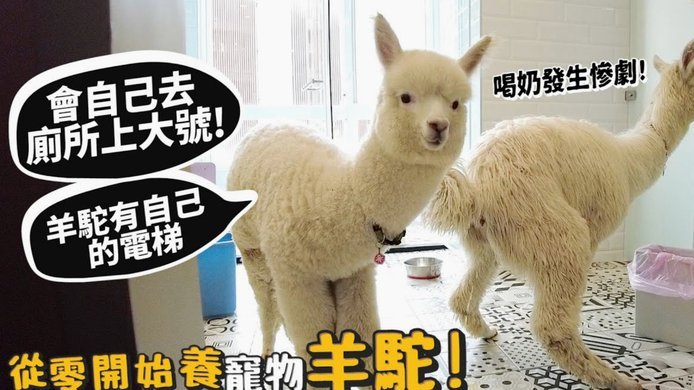 得物佳物分期怎么提现
