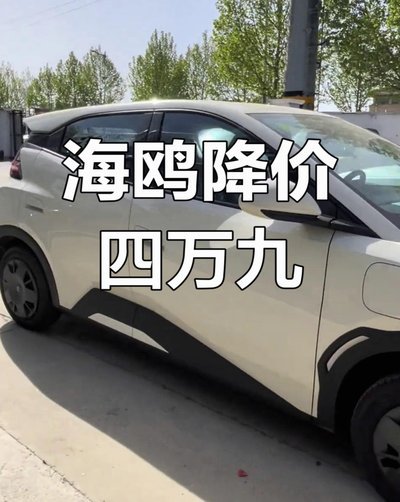 海鸥花呗平台 出来多少钱
