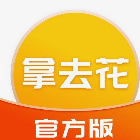 商业模式优势与风险挑战全分析